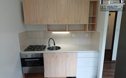 Pronájem bytu 1+1 29 m², Jaroslava Lohrera, Frýdek-Místek - Místek