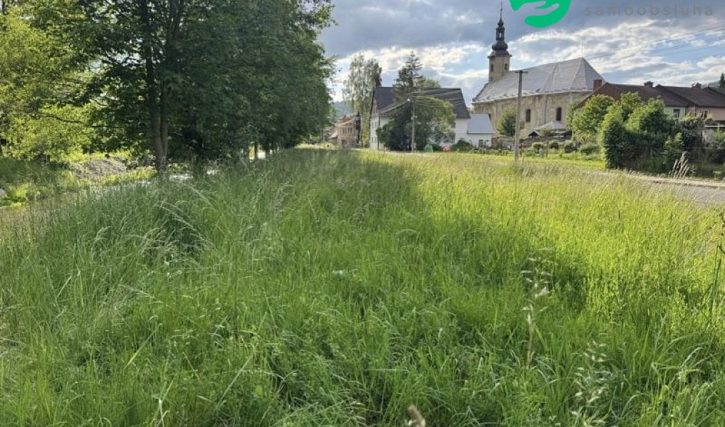 Prodej zahrady 777 m², Město Albrechtice – náhled fotky 2