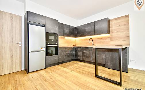 Pronájem bytu 2+kk 59 m², Dřevčická, Brandýs nad Labem-Stará Boleslav - Brandýs nad Labem, okres Praha-východ