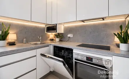Pronájem bytu 2+kk 69 m², Březenská, Praha 8 - Libeň