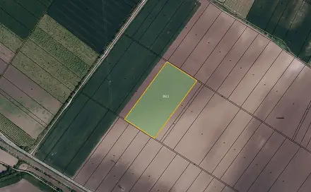 Prodej pole 30 381 m², Popice, okres Břeclav