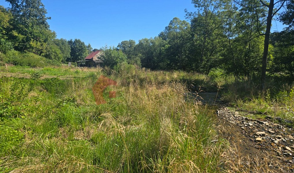 Prodej stavebního pozemku 3 055 m², Zlaté Hory – náhled fotky 6