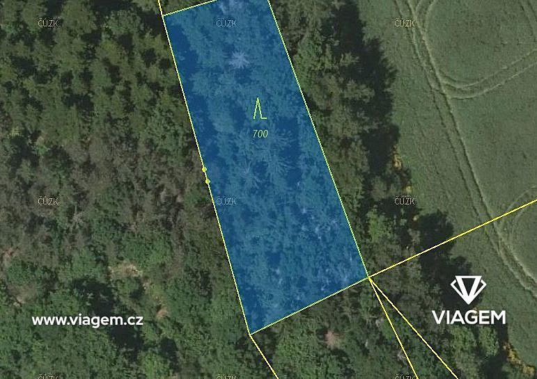Prodej lesa 386 m²