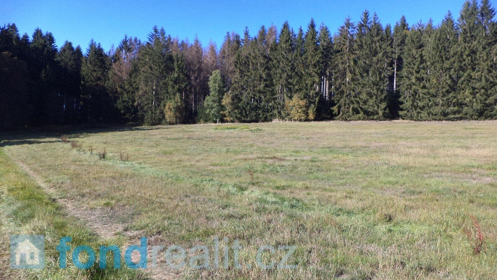 Prodej pozemku 4 992 m² – fotografie 2