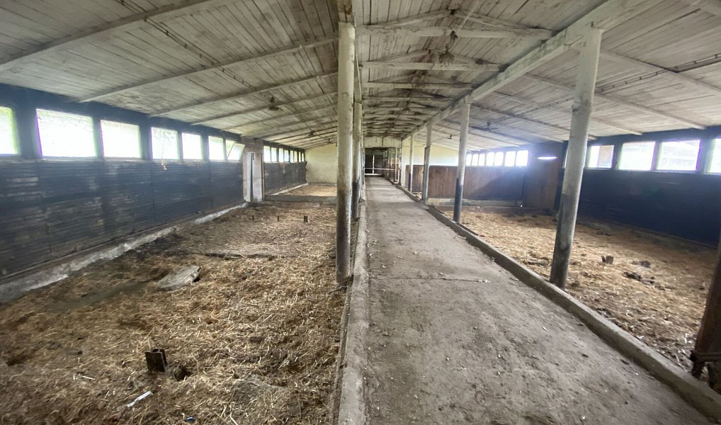 Prodej zemědělského objektu 1 050 m², Žlebské Chvalovice – náhled fotky 17