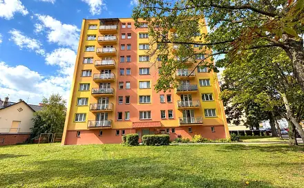 Prodej bytu 2+1 50 m², L. M. Pařízka, České Budějovice - České Budějovice 7