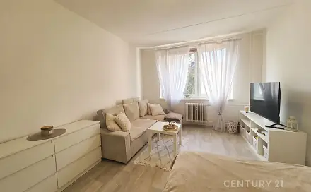 Pronájem bytu 1+1 38 m²
