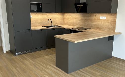 Pronájem bytu 2+kk 56 m², U Hájenky, Ostrava - Slezská Ostrava