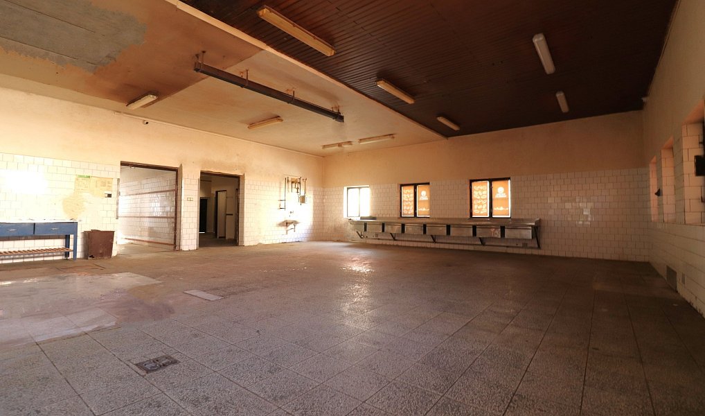 Pronájem výrobních prostor 223 m², Pohořelice – náhled fotky 7