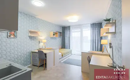 Pronájem bytu 1+kk 33 m², 17. listopadu, Olomouc