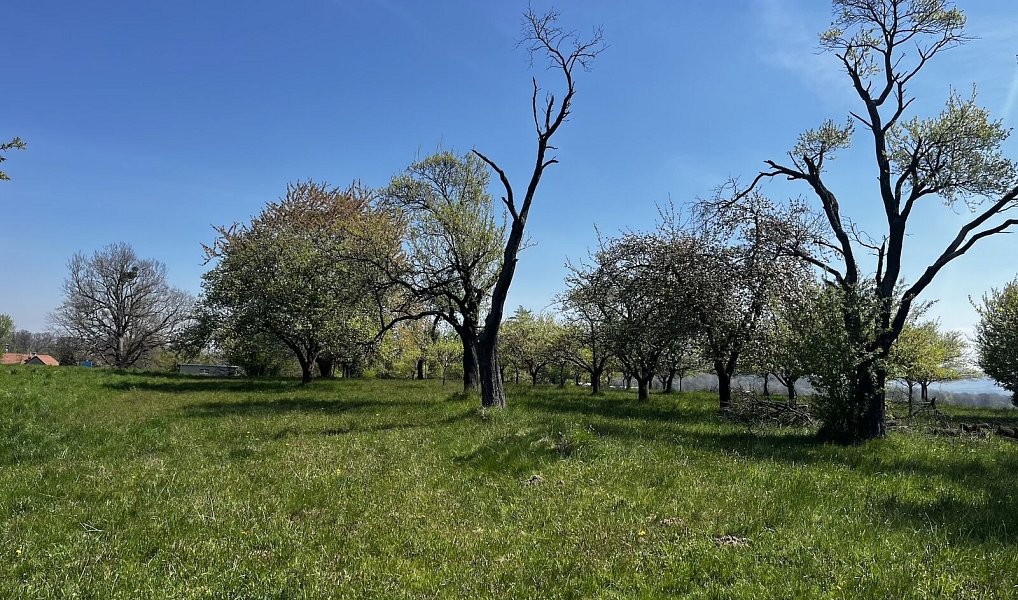 Pronájem pozemku 7 559 m², Horní Újezd – náhled fotky 7