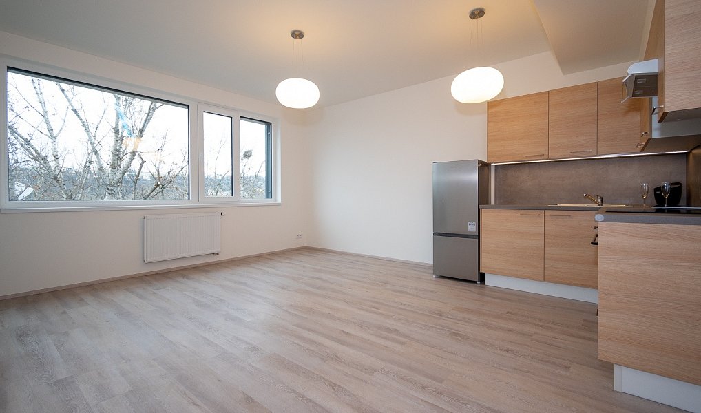 Pronájem bytu 2+kk 43 m², Praha – náhled fotky 12