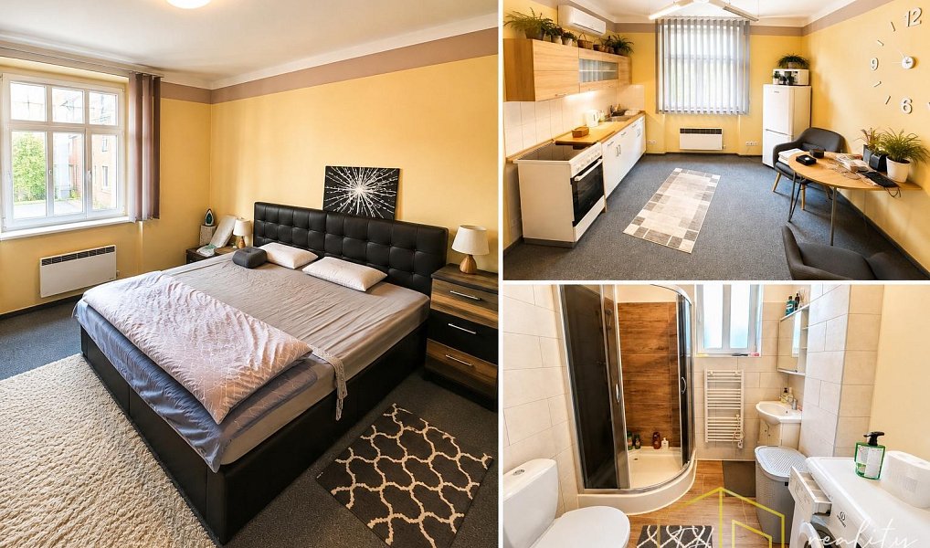 Prodej domu 400 m² s pozemkem 380 m², Teplice – náhled fotky 21