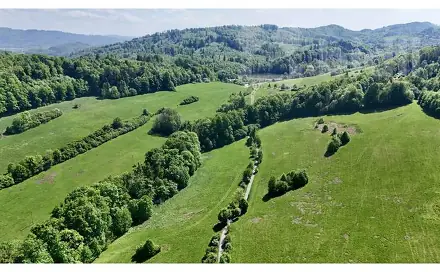 Prodej louky 7 411 m², Nový Jičín