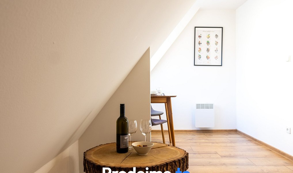Prodej ubytovacího objektu 108 m², Znojmo – náhled fotky 4