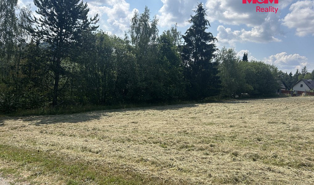Prodej stavebního pozemku 3 689 m², Zbraslavice – náhled fotky 5