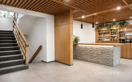 Prodej domu 170 m² s pozemkem 99 m², Sladkovského, Brno - Královo Pole
