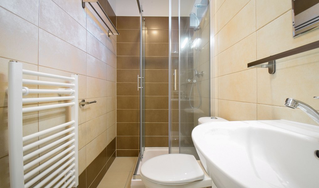 Pronájem bytu 1+kk 19 m², Brno – náhled fotky 9