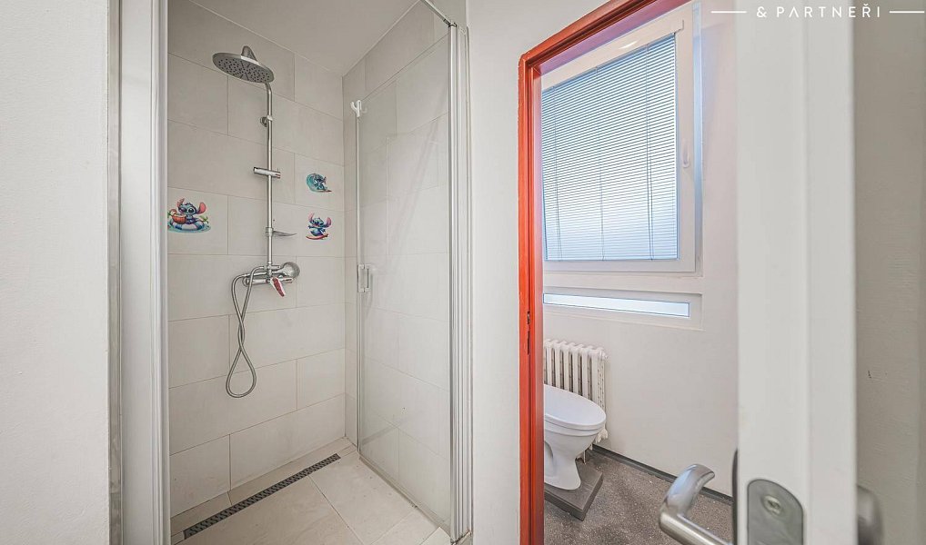 Pronájem bytu 2+1 90 m², Hradec Králové – náhled fotky 9