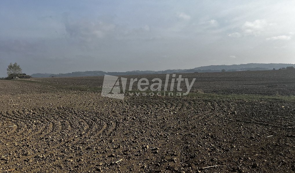 Prodej stavebního pozemku 1 004 m², Okříšky – náhled fotky 3