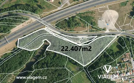 Prodej lesa 22 350 m², Nové Sedlo, okres Sokolov