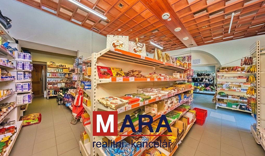 Prodej domu 739 m² s pozemkem 1 095 m², Tovačov – náhled fotky 6