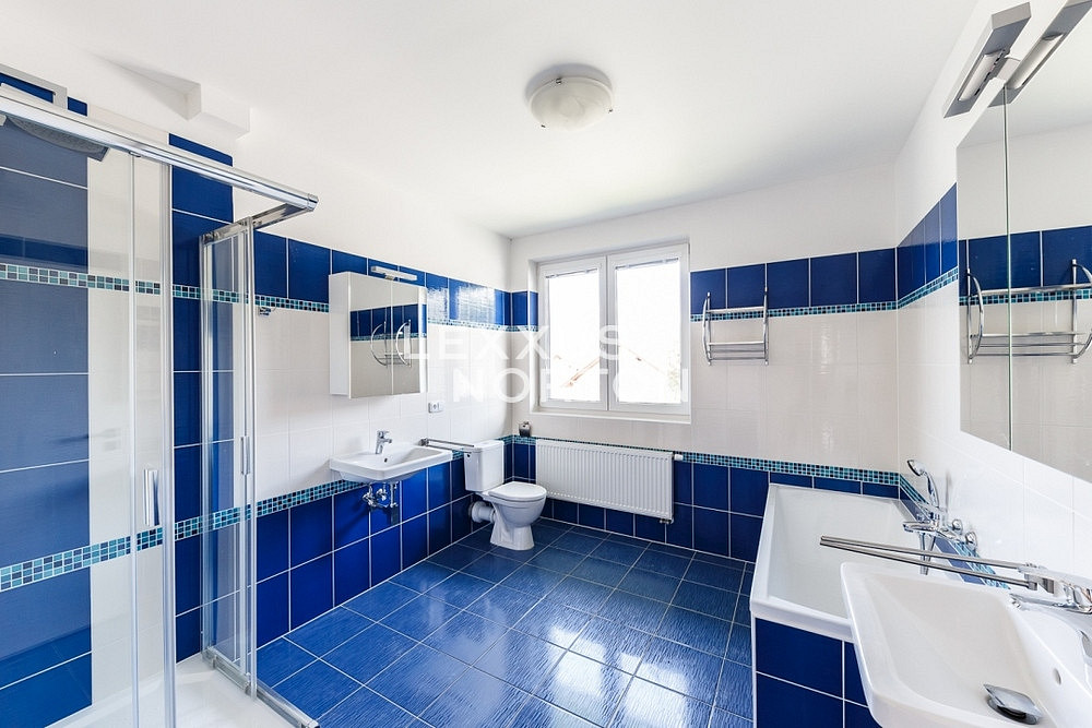 Pronájem domu 400 m² s pozemkem 10 000 m² – fotografie 5