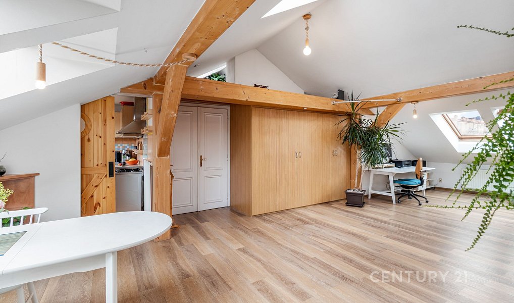 Prodej bytu 1+1 87 m², Praha – náhled fotky 8