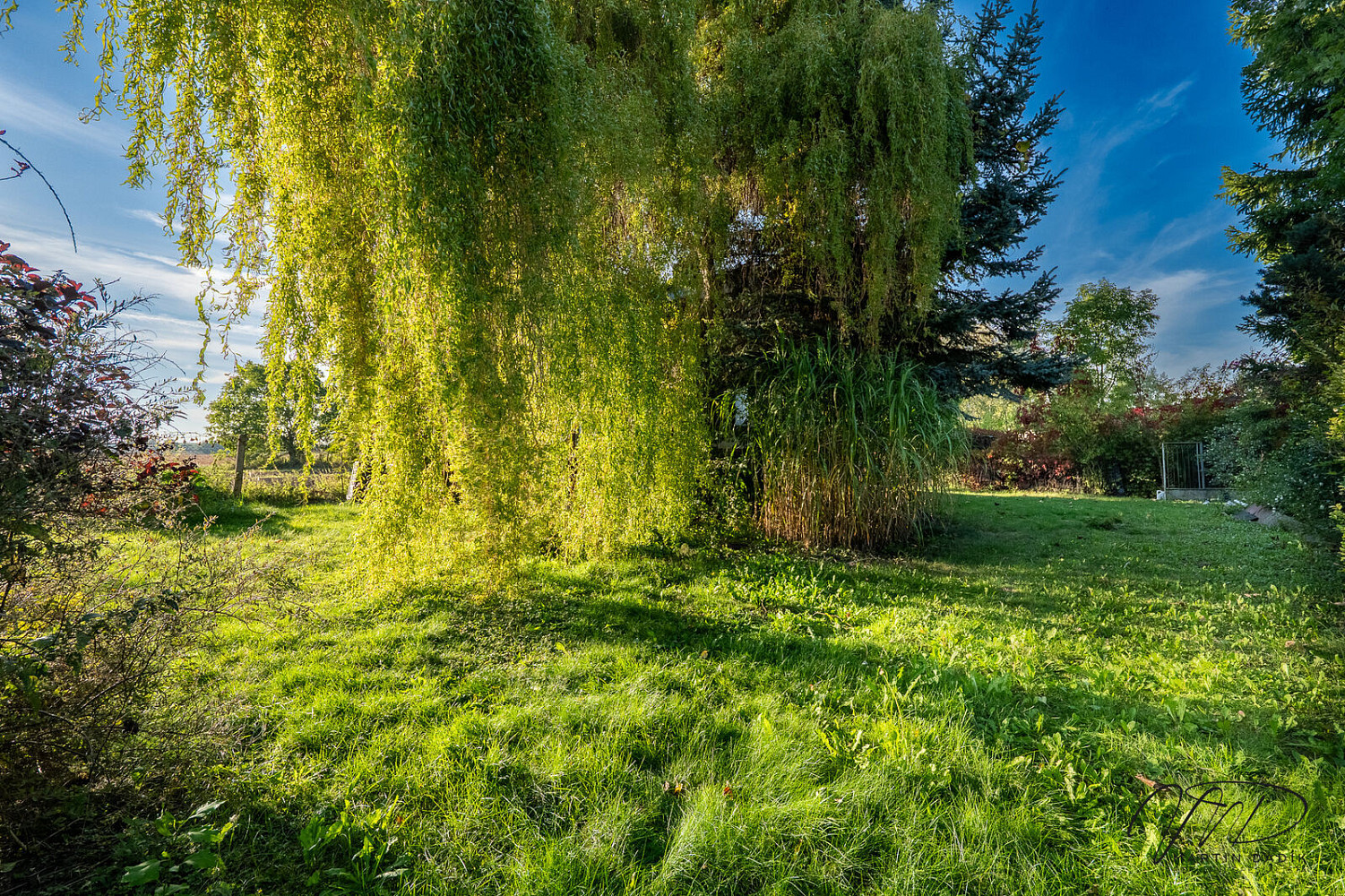 Prodej stavebního pozemku 538 m² – fotografie 2
