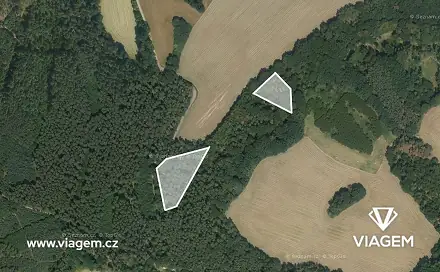 Prodej lesa 4 193 m², Snědovice, okres Litoměřice