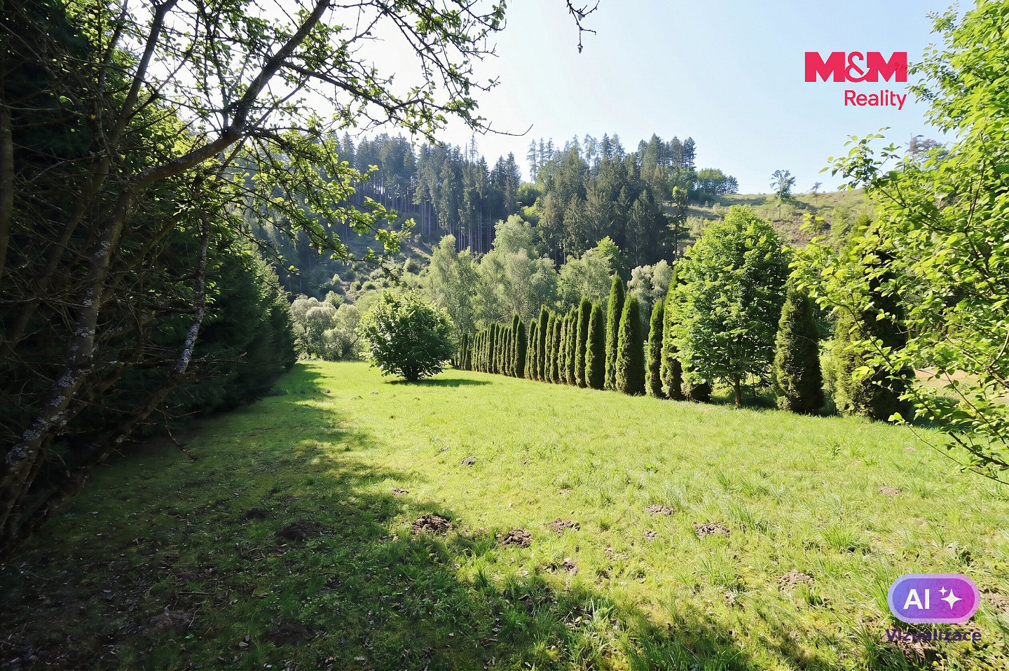 Prodej louky 990 m² — photo 2