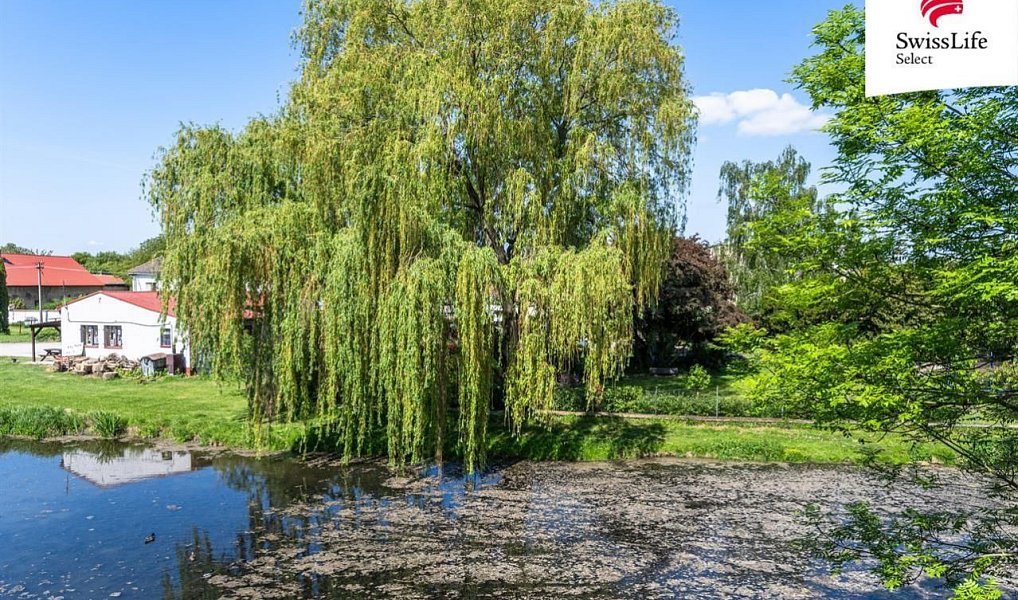 Prodej bytu 3+kk 74 m², Břežany II – náhled fotky 8