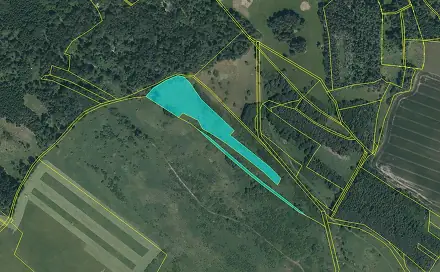 Dražba pozemku 17 271 m², Černošín