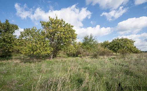 Prodej pozemku 14 896 m², Hustopeče, okres Břeclav