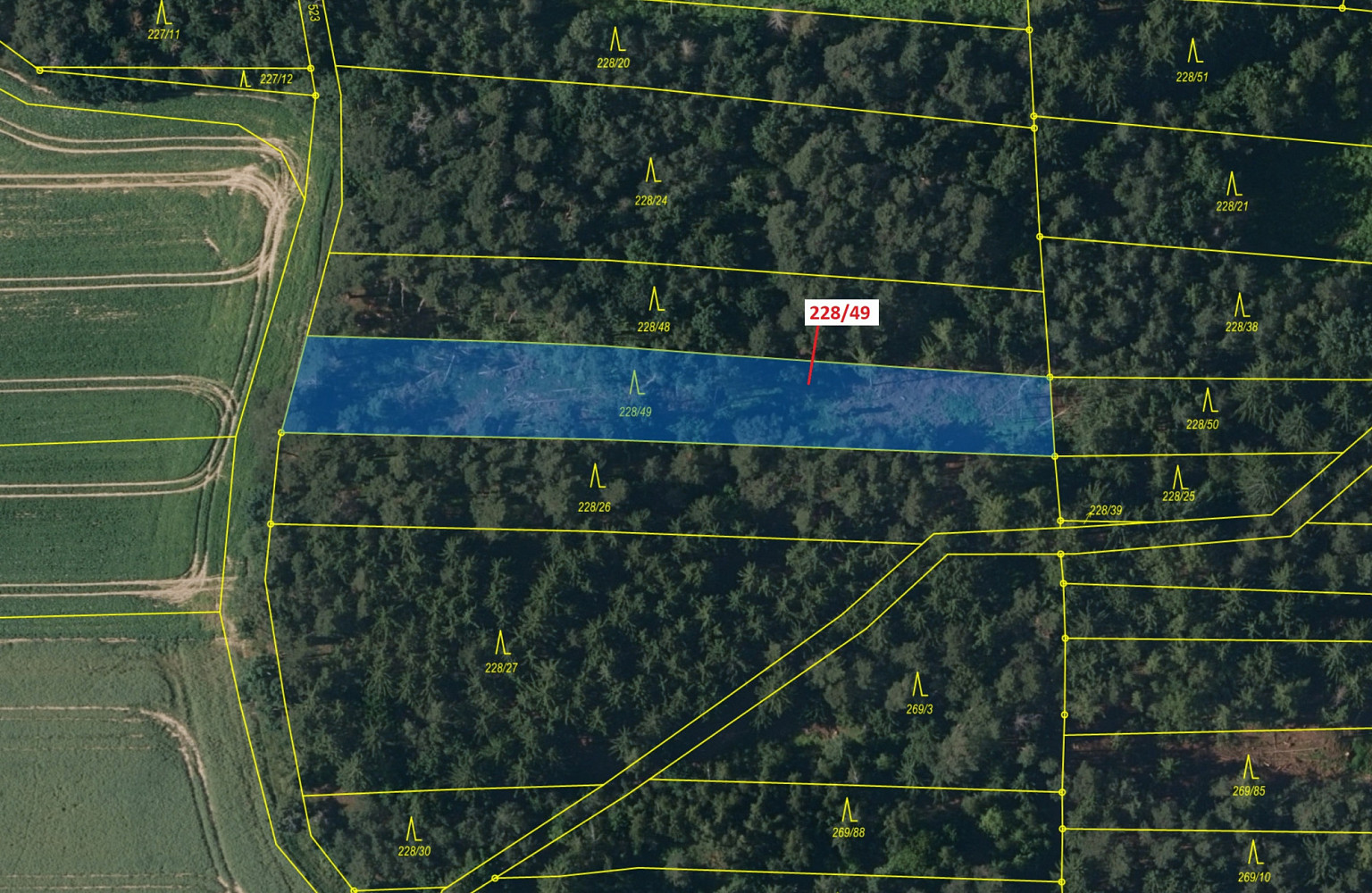 Dražba lesa 2 070 m² - Widok 2