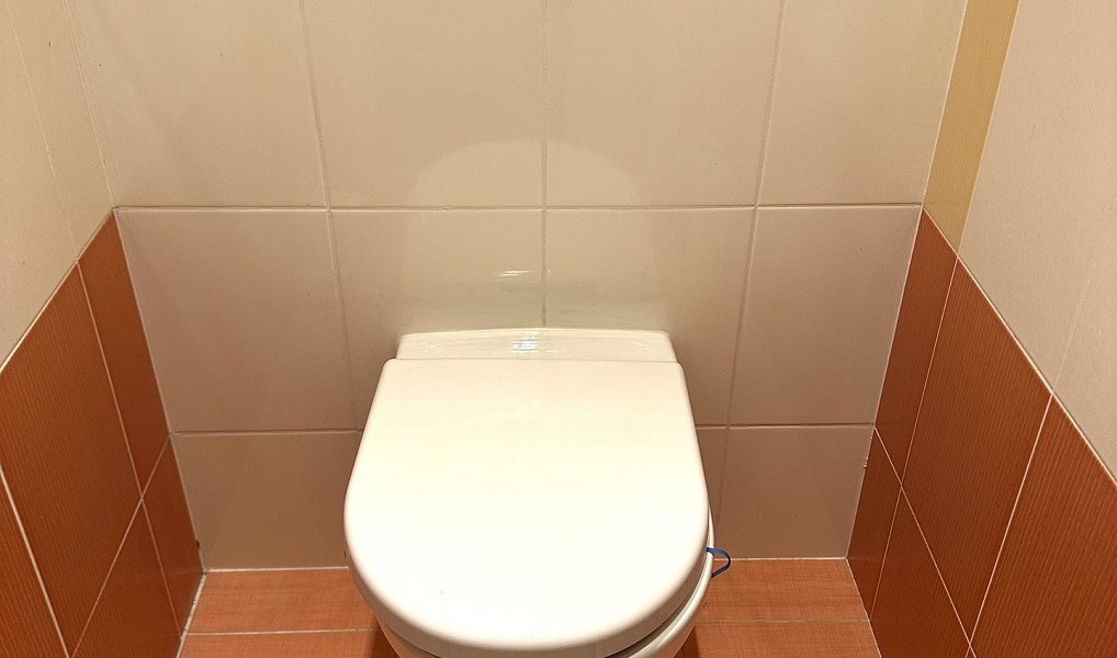 Pronájem bytu 3+kk 63 m², Kralupy nad Vltavou – náhled fotky 6