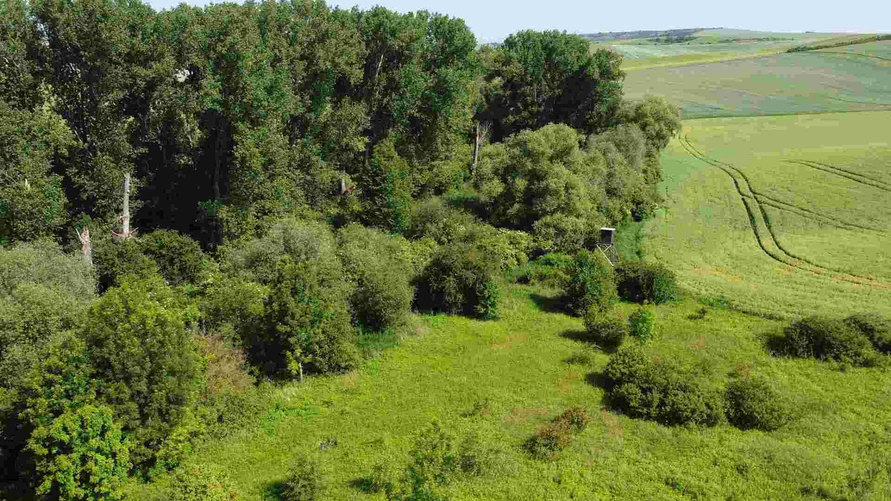 Prodej pole 3 134 m² – fotografie 2