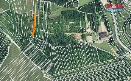 Prodej pole 1 211 m², Němčičky, okres Břeclav