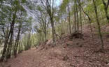Ostatní