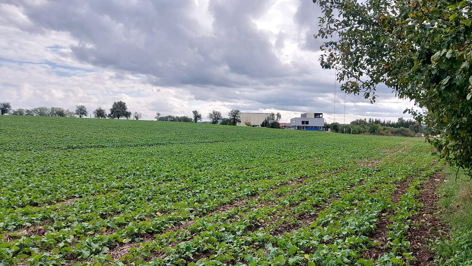Prodej komerčního pozemku 7 191 m²