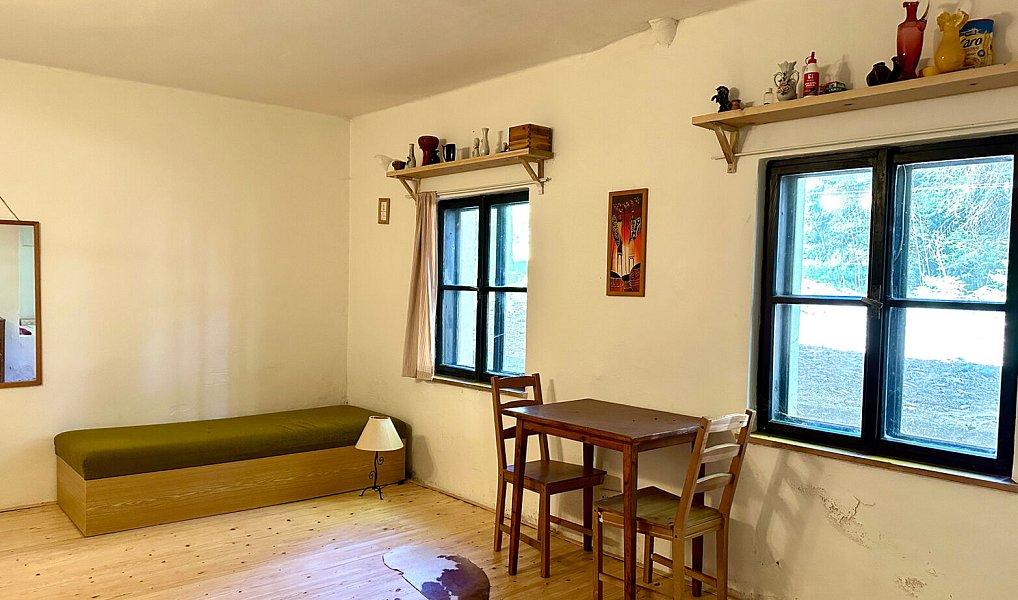 Prodej domu 400 m² s pozemkem 15 757 m², Železná Ruda – náhled fotky 8