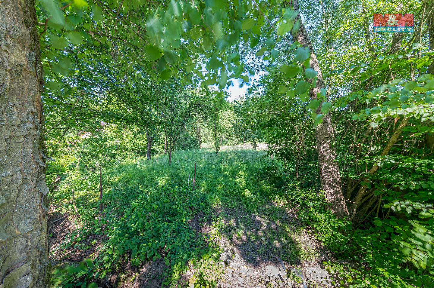 Prodej zahrady 2 102 m² – fotografie 2
