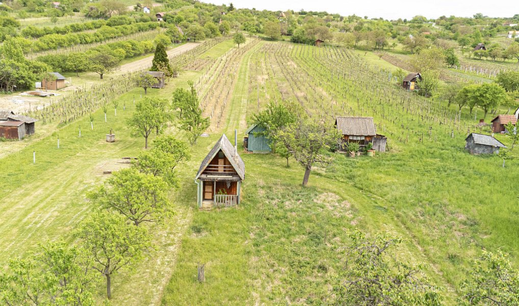 Prodej pozemku 5 457 m², Bdeněves – náhled fotky 9