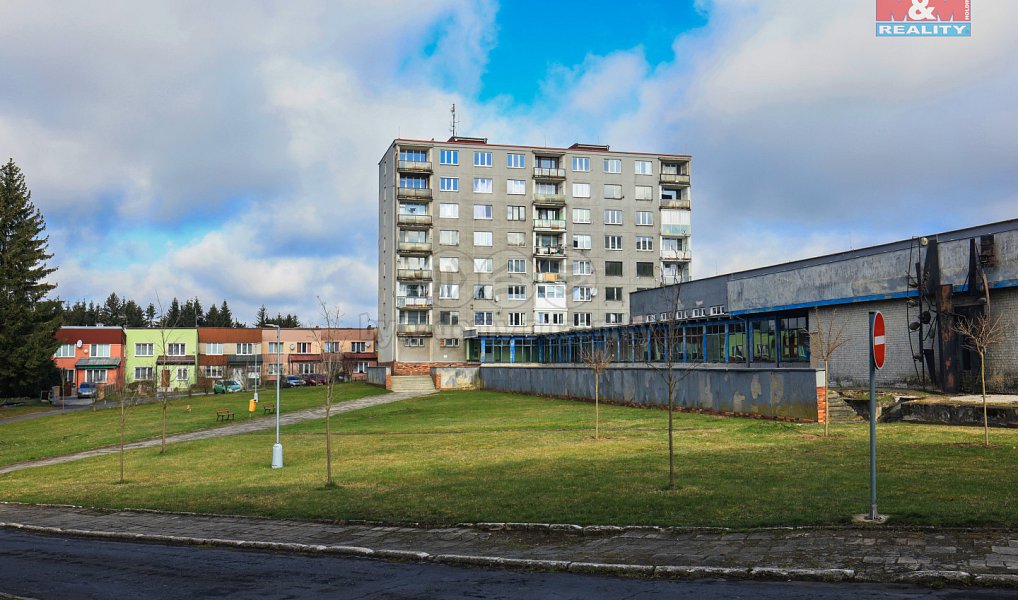 Pronájem bytu 1+kk 20 m², Rovná – náhled fotky 5