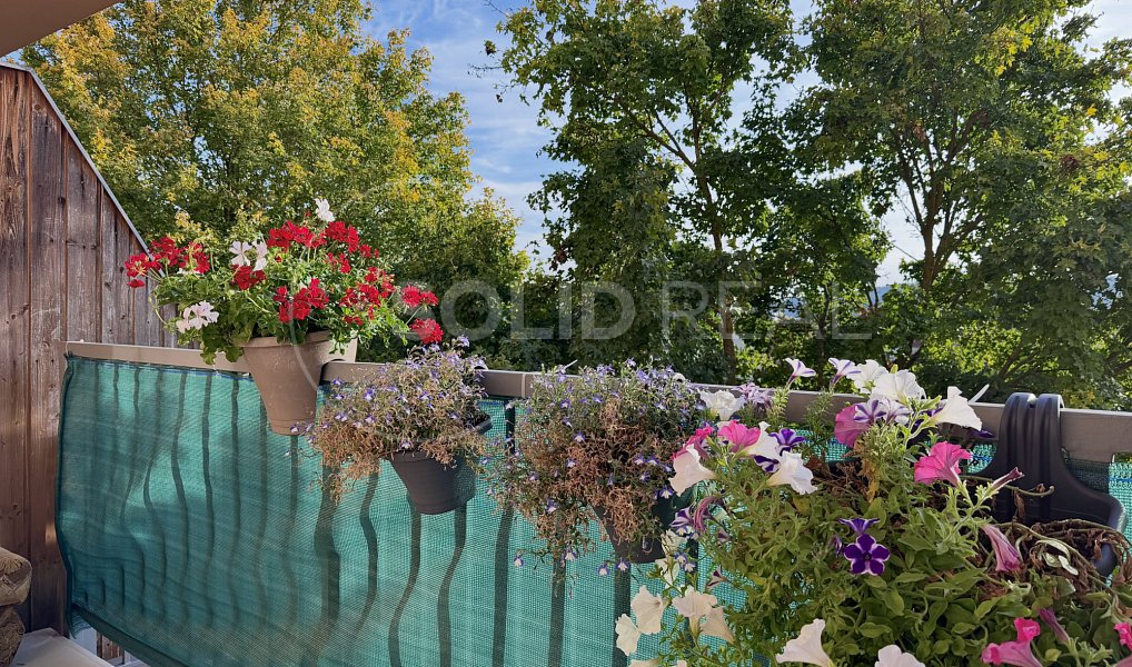 Prodej bytu 3+kk 60 m², Tišnov – náhled fotky 20