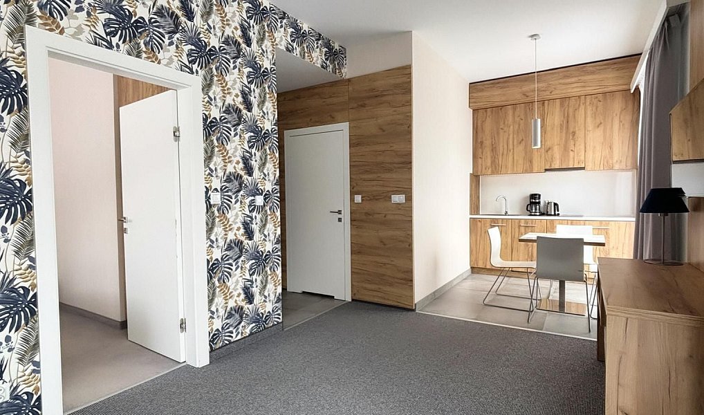 Prodej bytu 2+kk 46 m², Dolní Morava – náhled fotky 3