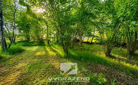 Prodej louky 458 m², Pertoltice, okres Liberec