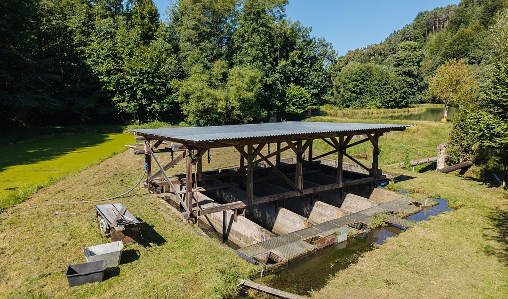 Pronájem vodní plochy 8 295 m², Nové Hrady – náhled fotky 2