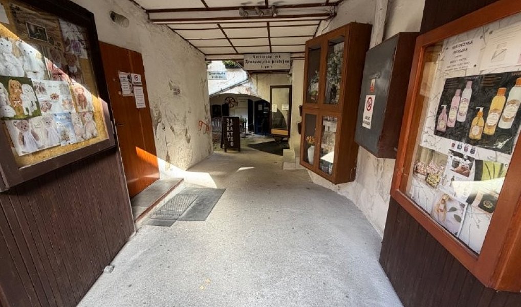 Prodej obchodních prostor 250 m², Pelhřimov – náhled fotky 11