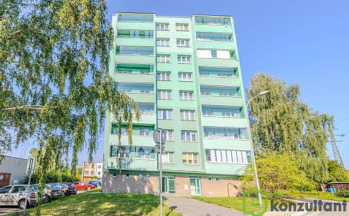 Prodej bytu 3+1 67 m², Hýlova, Ostrava - Výškovice